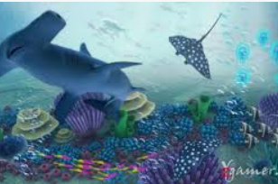 金沙足球正版app下载最新版